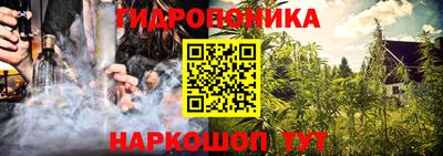 apvp Краснознаменск