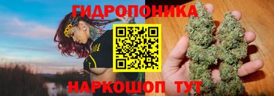 apvp Краснознаменск
