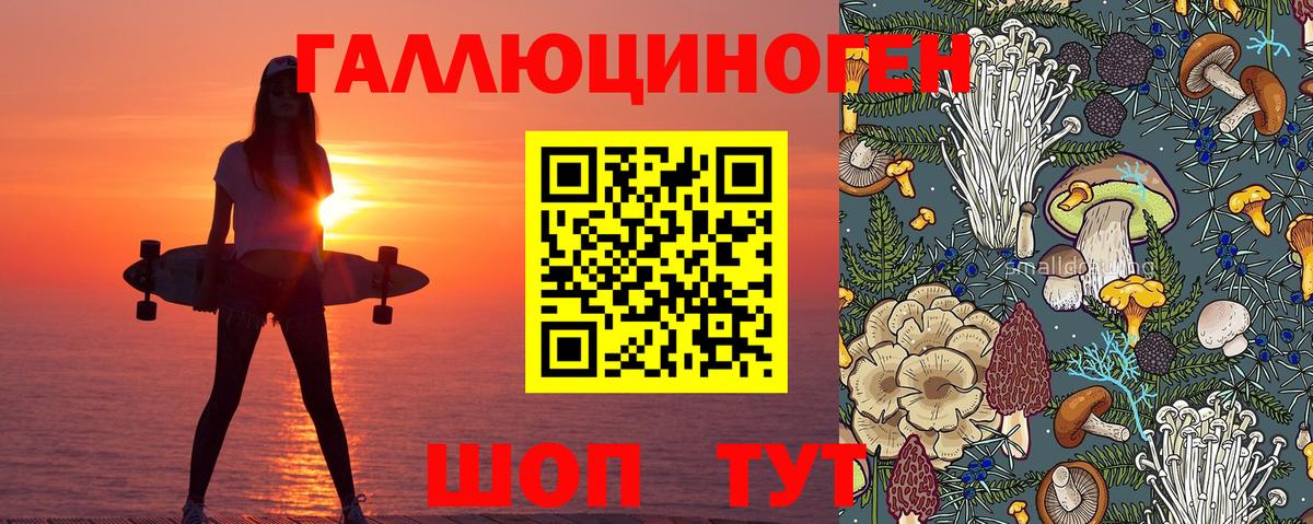 Киржач  Псилоцибиновые грибы Magic Shrooms  Вход с VPN 